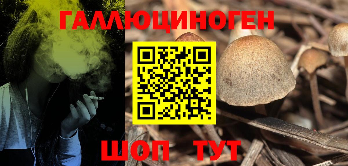 Благодарный  Псилоцибиновые грибы Cubensis  Вход с VPN 
